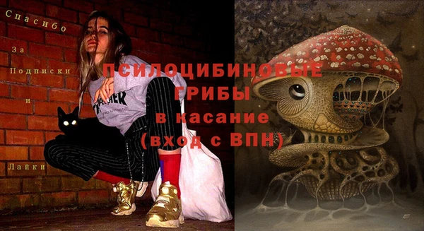 твердый Кукмор