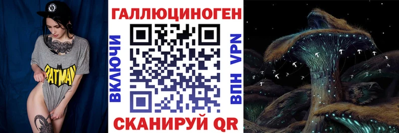 наркотики  Грязовец  Галлюциногенные грибы Cubensis 