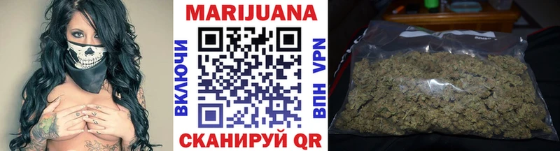 Конопля OG Kush Грязовец